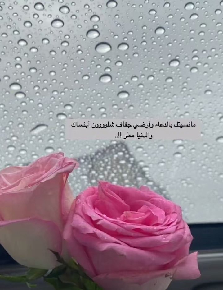 مثل المطر يا صافي الروح ذكراك 
يغسل هموم الروح ويروي ضماها … #الاجواء_الجميله