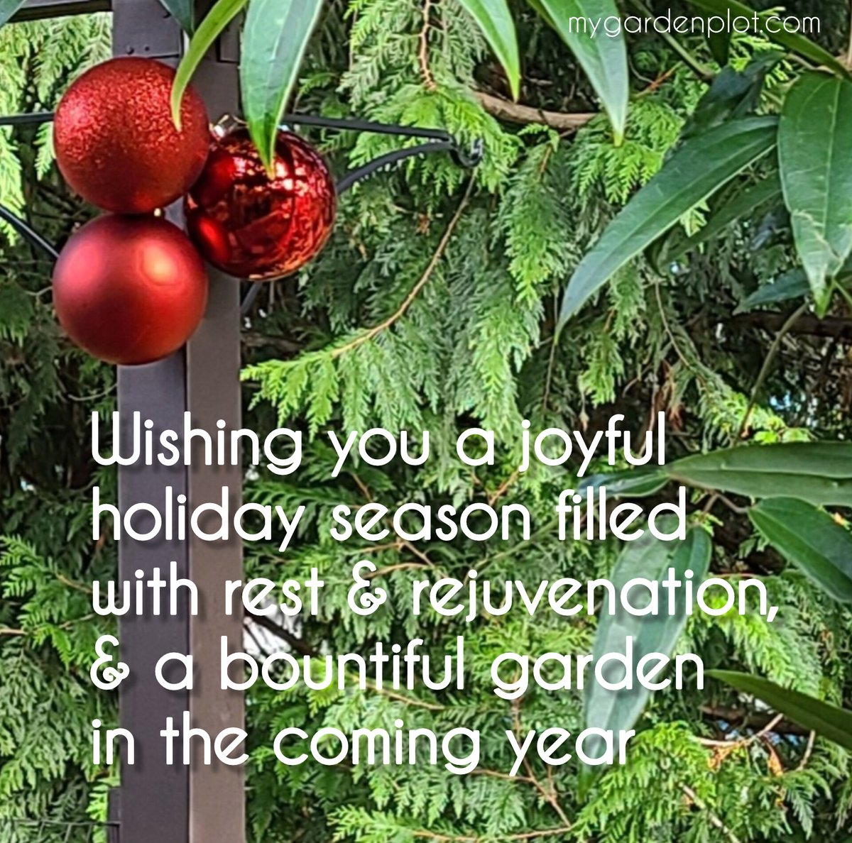 Hoping your stocking is stuffed with seeds, new tools, and all your heart's desires!