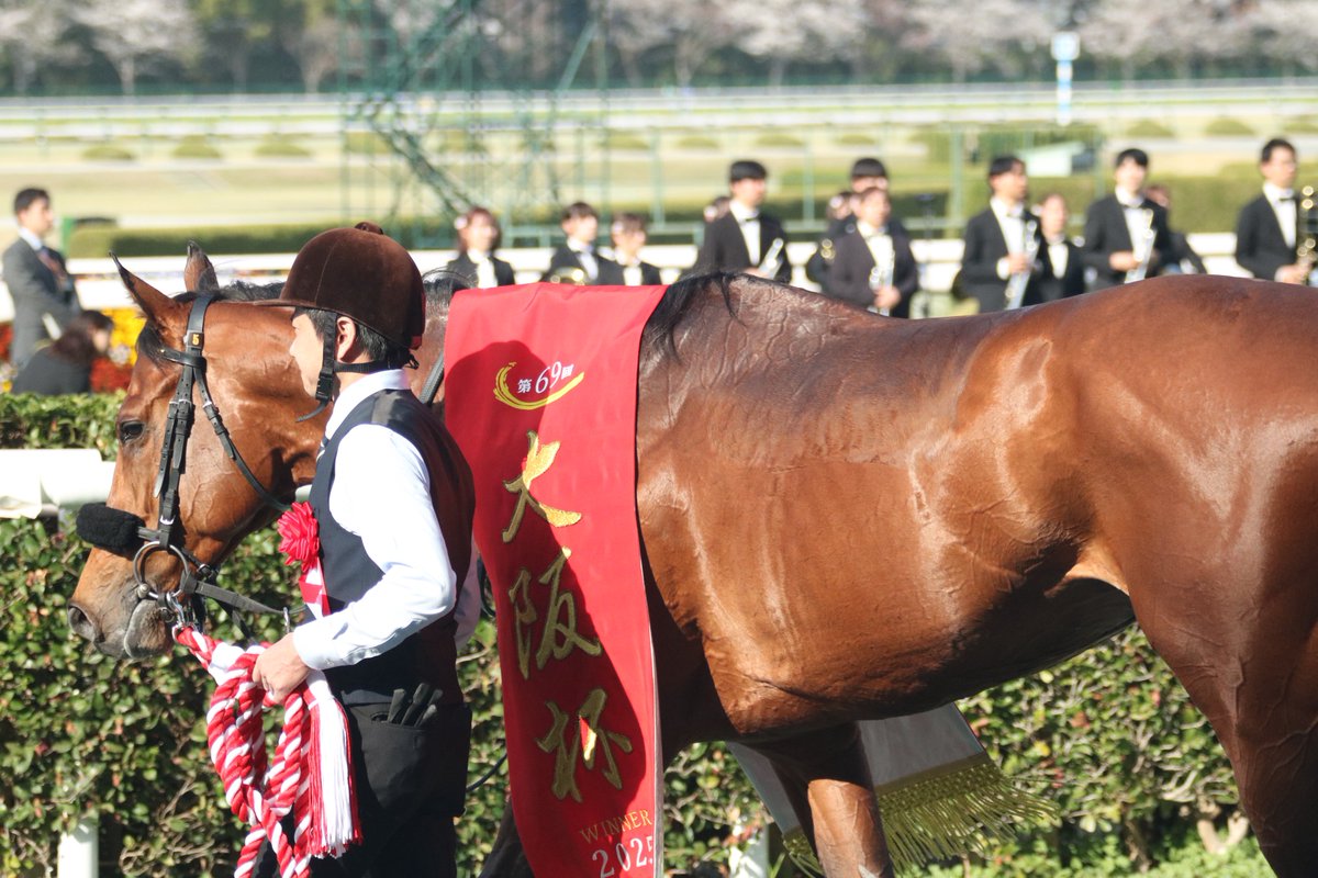 K_Victor_more's tweet photo. ベラジオオペラ引退か寂しくなるわ
#べラジオオペラ https://t.co/ePO3PnSbjt