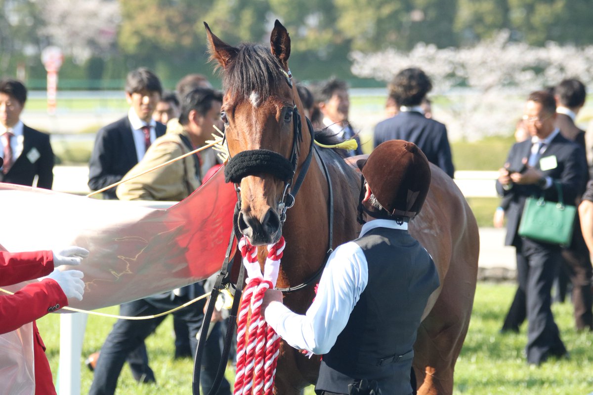 K_Victor_more's tweet photo. ベラジオオペラ引退か寂しくなるわ
#べラジオオペラ https://t.co/ePO3PnSbjt