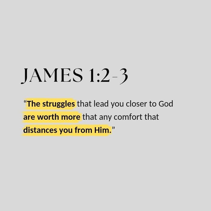 Bible 365 tweet media