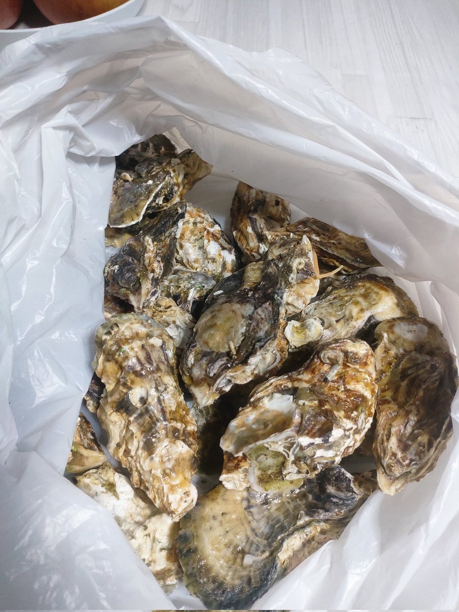 YuukisArt's tweet photo. 生牡蠣貰った♥️　
今夜の夕飯楽しみ過ぎる♥️
#牡蠣 https://t.co/mEEz4yaCmI