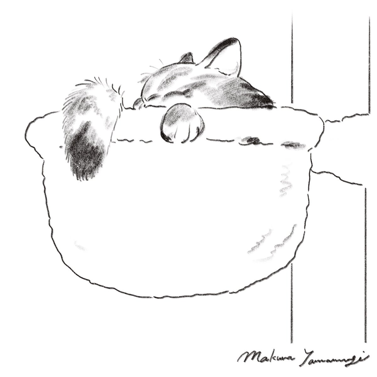 ねこスケッチ✏️
#sketch #drawings 