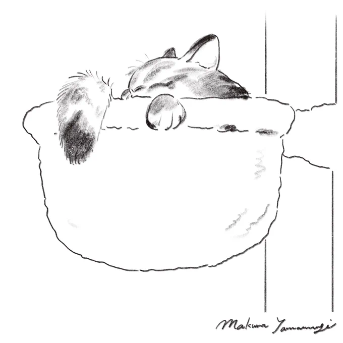 ねこスケッチ✏️
#sketch #drawings 