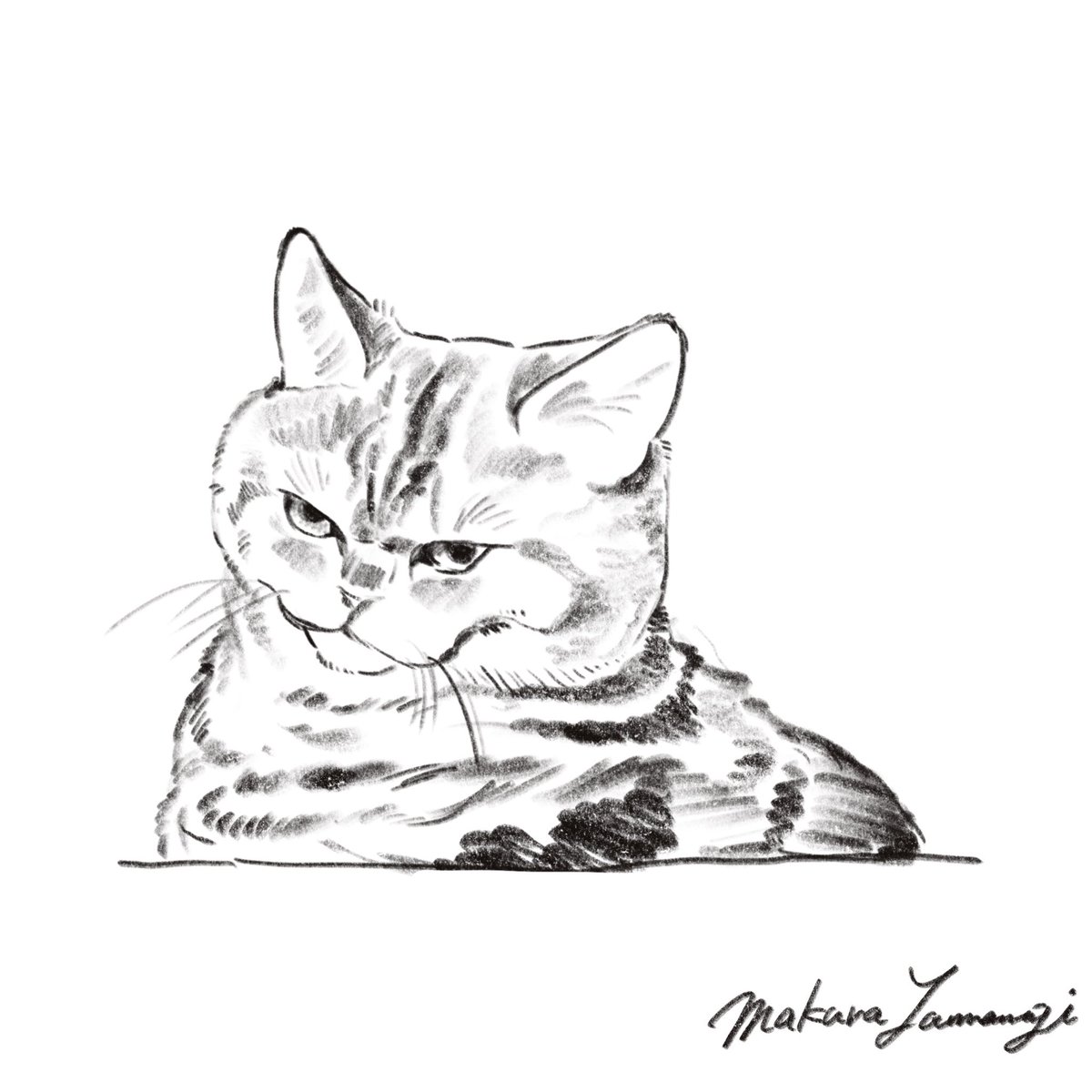 ねこスケッチ✏️
#sketch #drawings 