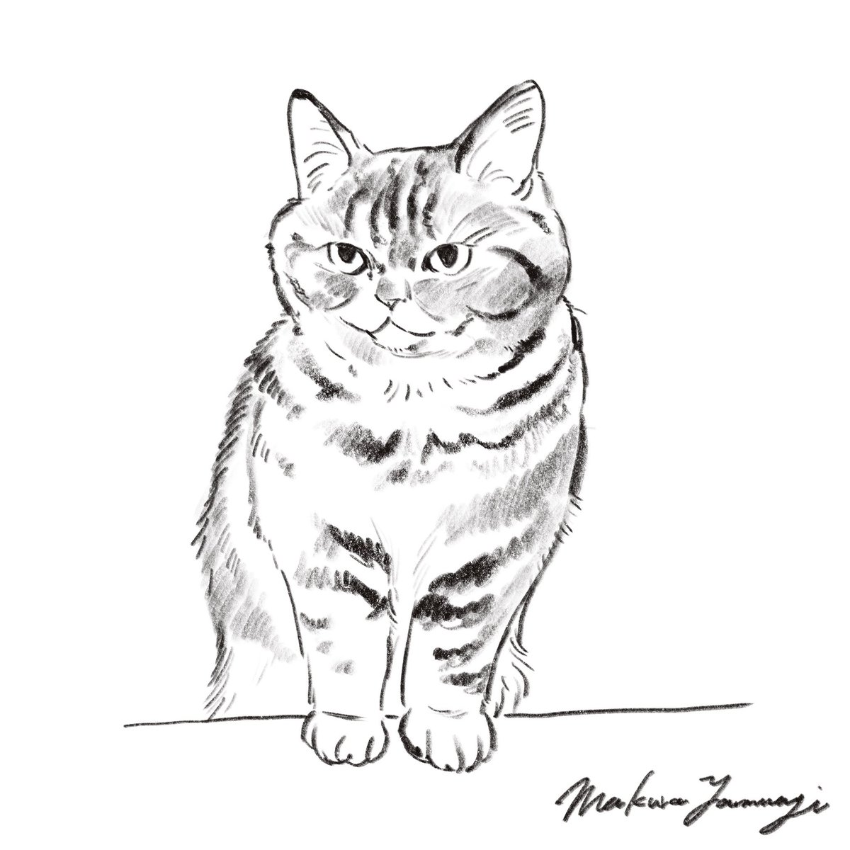 ねこスケッチ✏️
#sketch #drawings 