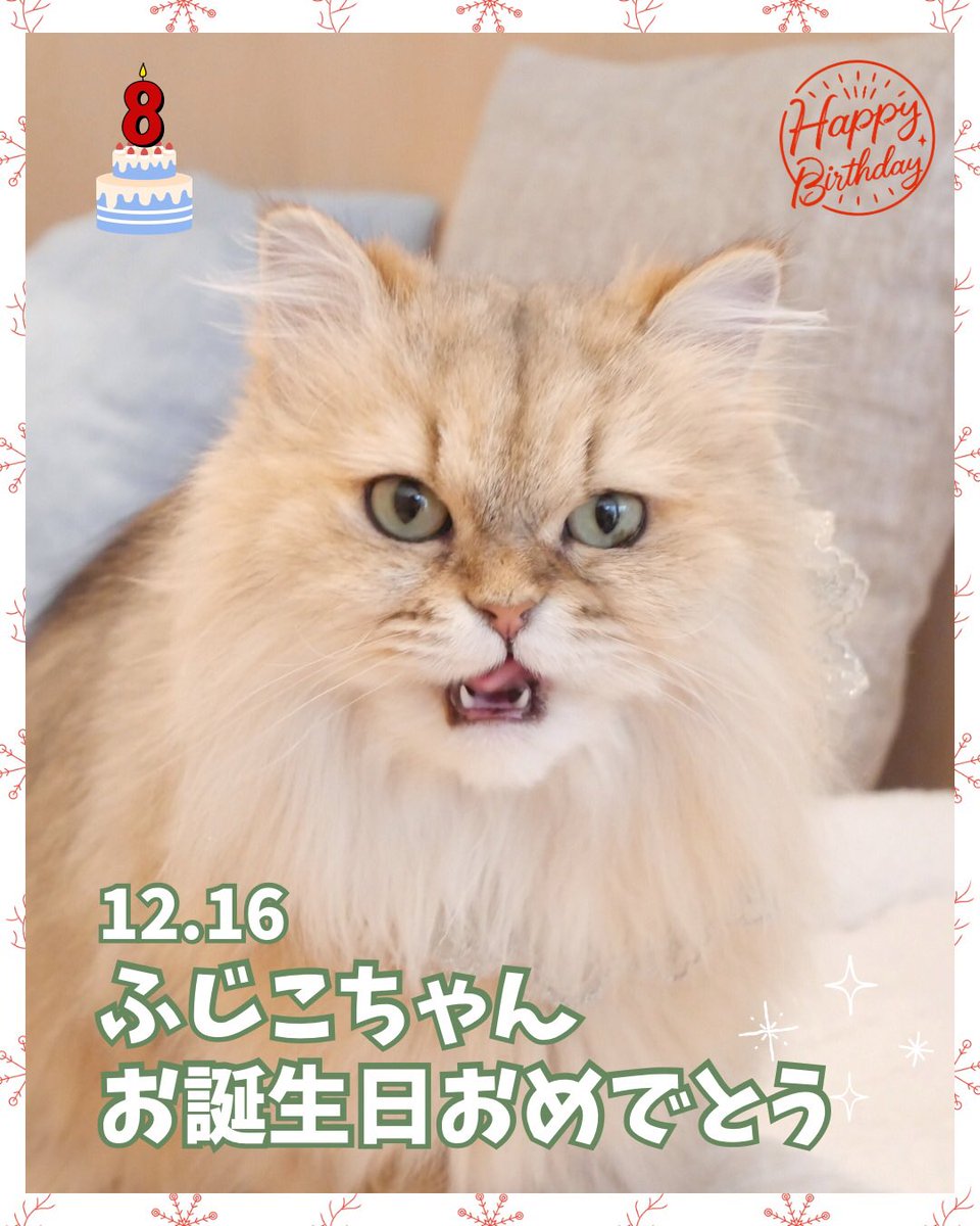 🎂＼Happy birthdayふじこ／🎂 本日12月16日は #ペルシャ ふじこ