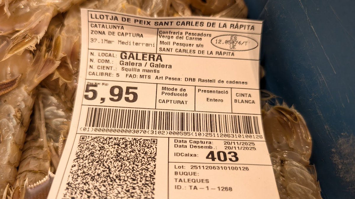 Hernan Subirats Ioos tweet media