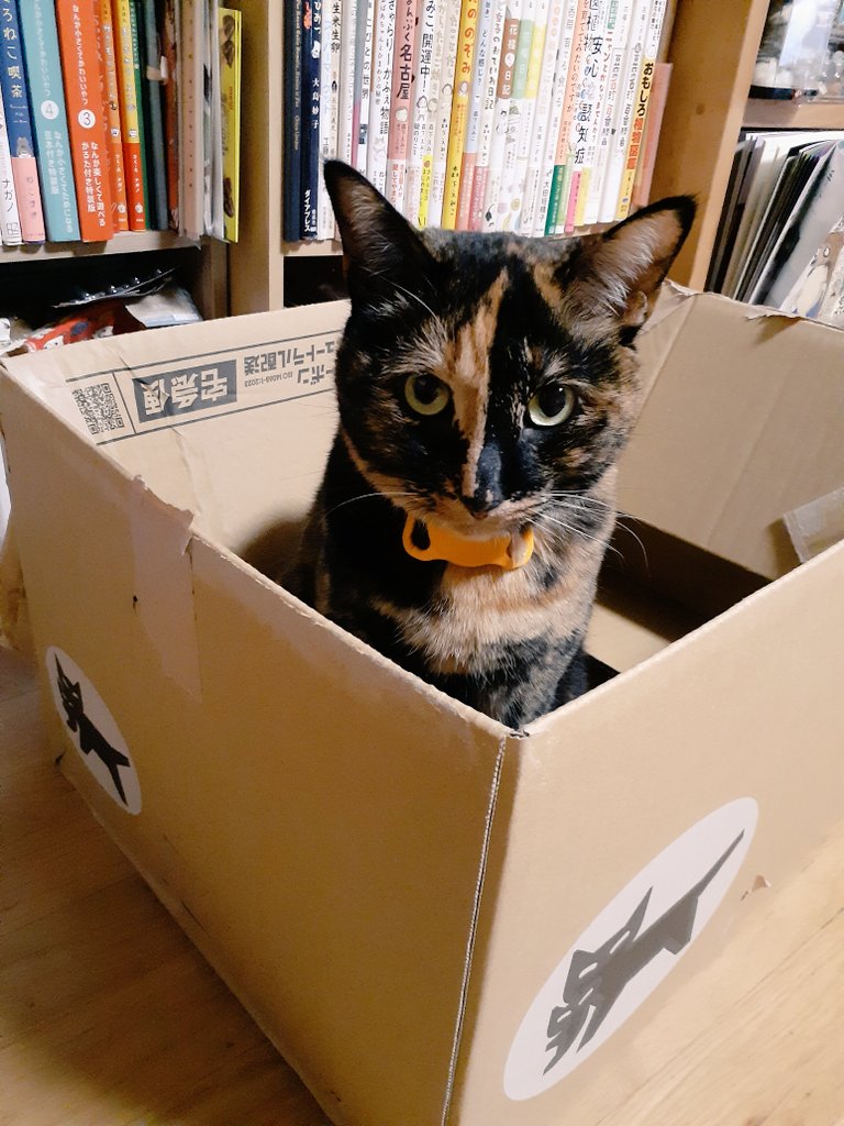 ❤はるるんさま❤NoteMakingEnergy❤ はるるん【