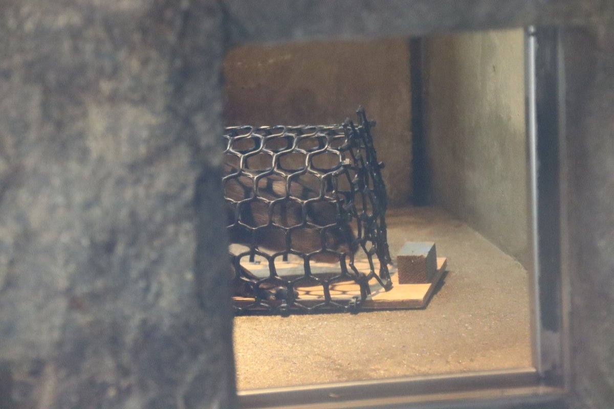 coshana3's tweet image. 午後の食事前から外に出たり入ったり鳴いてた。外のプールの水は抜かれていたよ。
食事は産室で貰っていた。見えないけど、トレーニングしてる様子。
#ドン
#コツメカワウソ
#東山動植物園　12/16