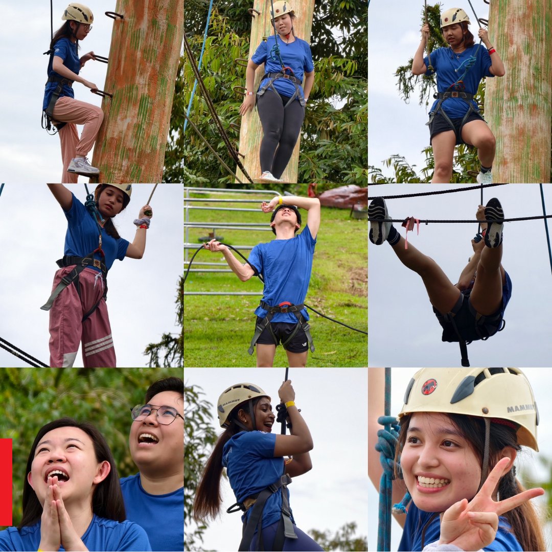 Mainfreight tweet media