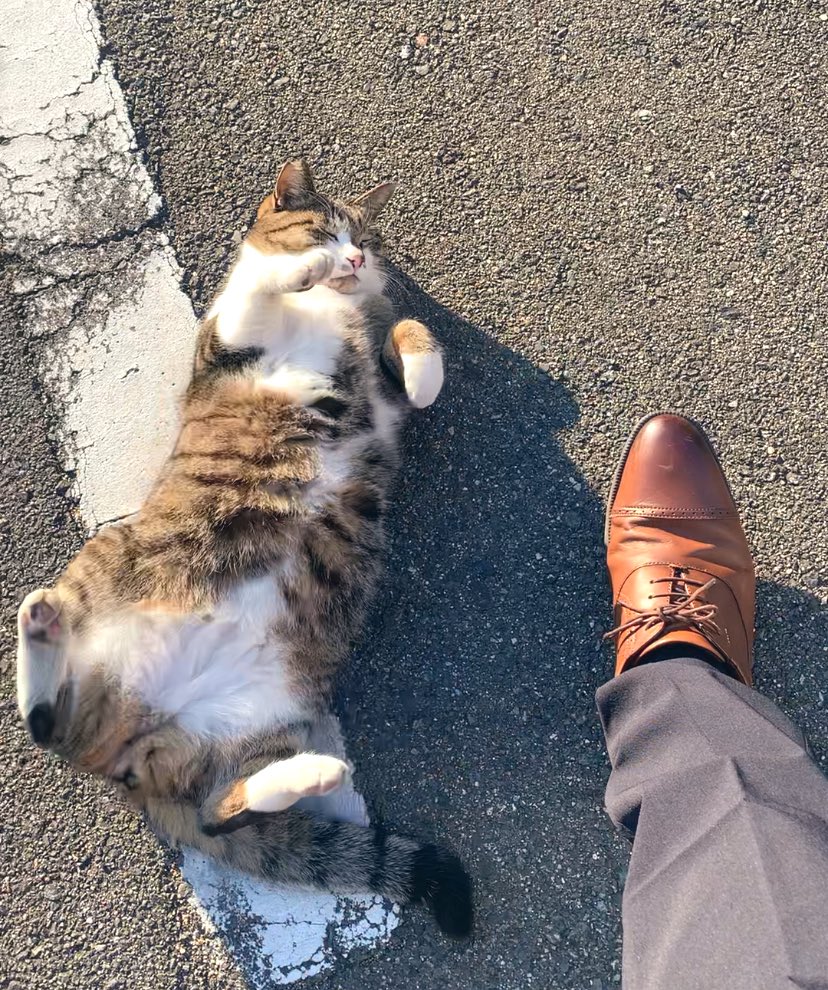 これは危険度の高い足止めトラップ 無視は不可能……………