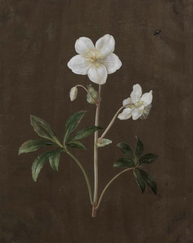 A'lâ suresinin 8. ayetinde "Sana kolaylık ve huzurun yollarını açacağız" deniliyor. Ben o yolların açılmasına muhtacım Allah'ım."