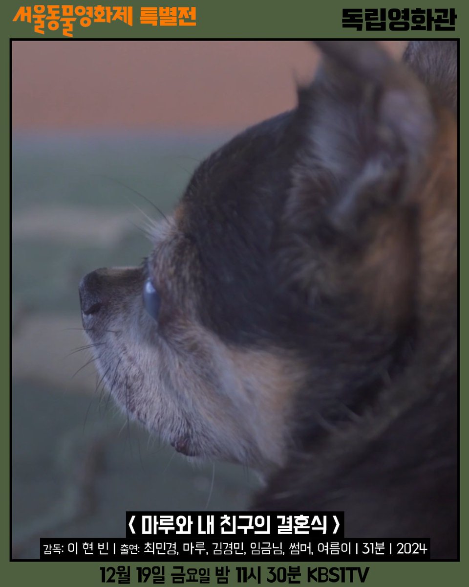 indiefilm__'s tweet photo. 📍독립영화관 KBS1TV
12월 19일 금요일 밤 11시 30분!

"평범하지만, 특별한 여성 장애인이 나오는 영화를 만들고 싶었습니다. '장애'를 가진 배우들을 영화 안으로 초대하고 다정한 방식으로 세계에 말을 걸고 싶었습니다." - 이현빈 감독 

🎬서울동물영화제 특별전
🐶<마루와 내 친구의 결혼식> https://t.co/E8EqT14bIe