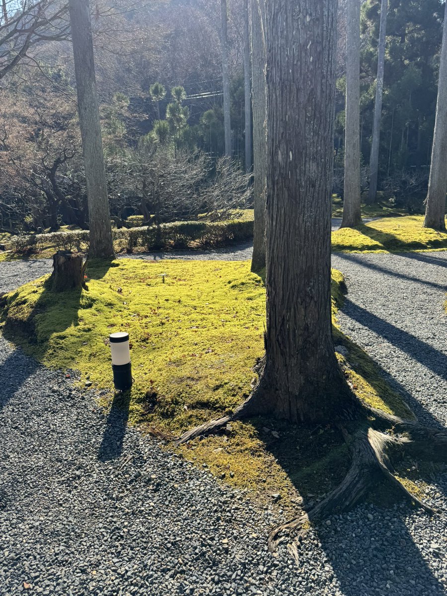 本日キャンセル出ました。 よろしくお願いいたします🙇