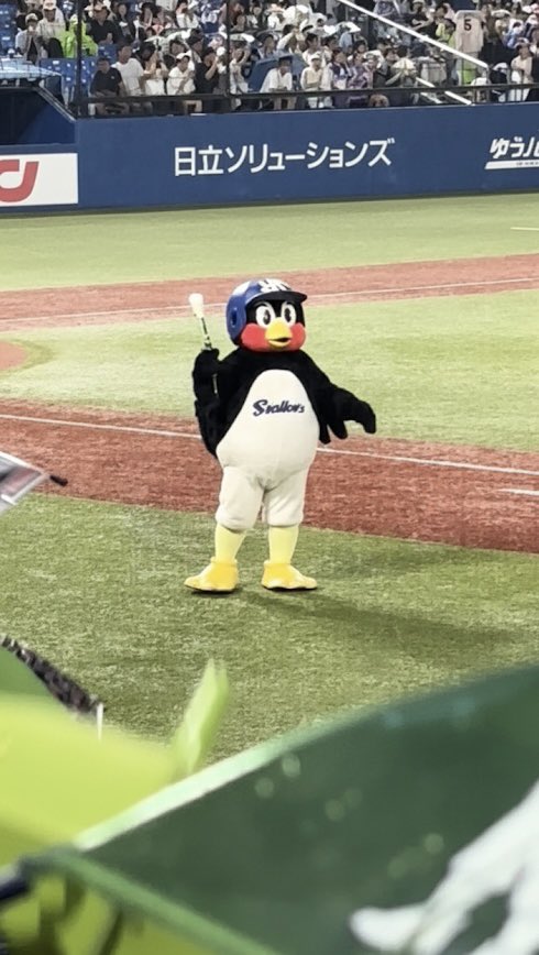 くっち (@kozaru_chizu) / Posts / X