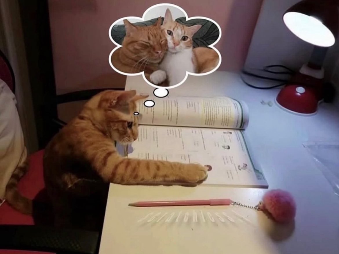 Lee (@leviationn) on Twitter photo 