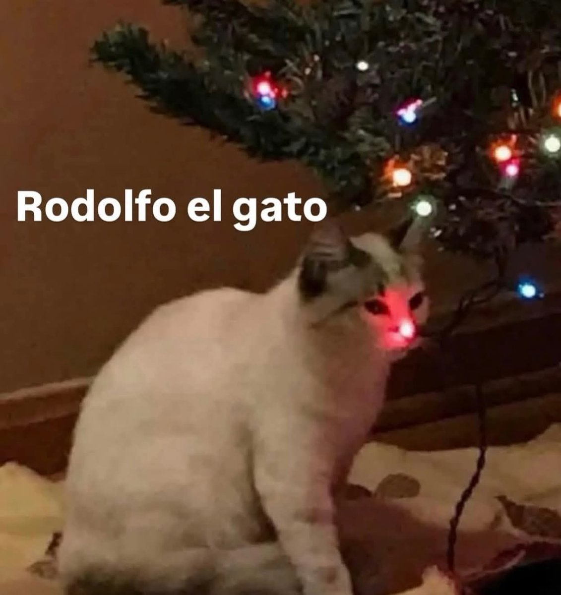 En_jupiter_'s tweet image. 