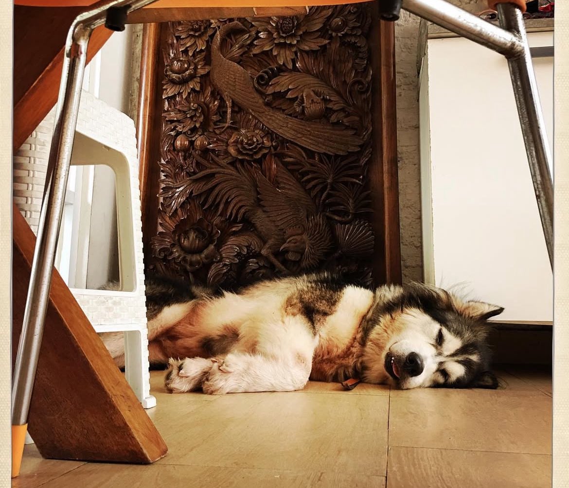 You’re forever loved, Kimi 🥀