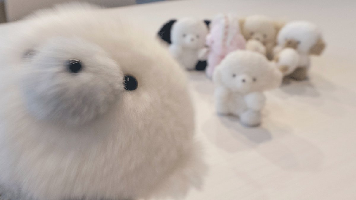 ゆいまる@まとめ買い毎に100円引き♪様 ゆいまる@まとめ買い毎に100円引き♪様 じょせまる (@josemaru_model