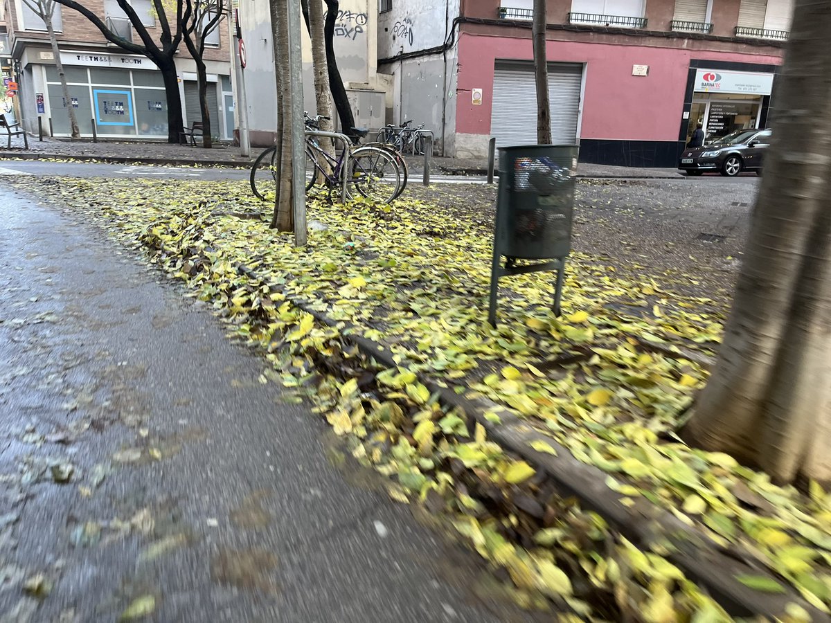 xivu's tweet photo. Embornals plens de fulles i pluja, Què pot sortir malament… @Girona_Cat @llsalellasvilar @sergicot
#siesque 🤌🏾 🍂 https://t.co/3PGL16VRvT