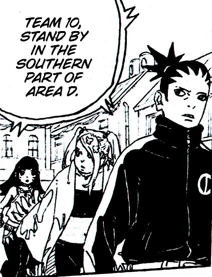 Team 10? Does the team now include Himawari? 🤔