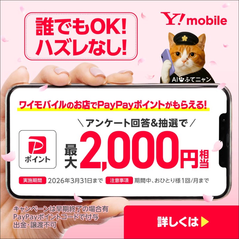 ymobileOfficial's tweet photo. ＼誰でもOK、ハズレなし！／
アンケート回答＆抽選でPayPayポイントがもらえるチャンス！ 🉐✨
付与されるPayPayポイントは出金・譲渡不可