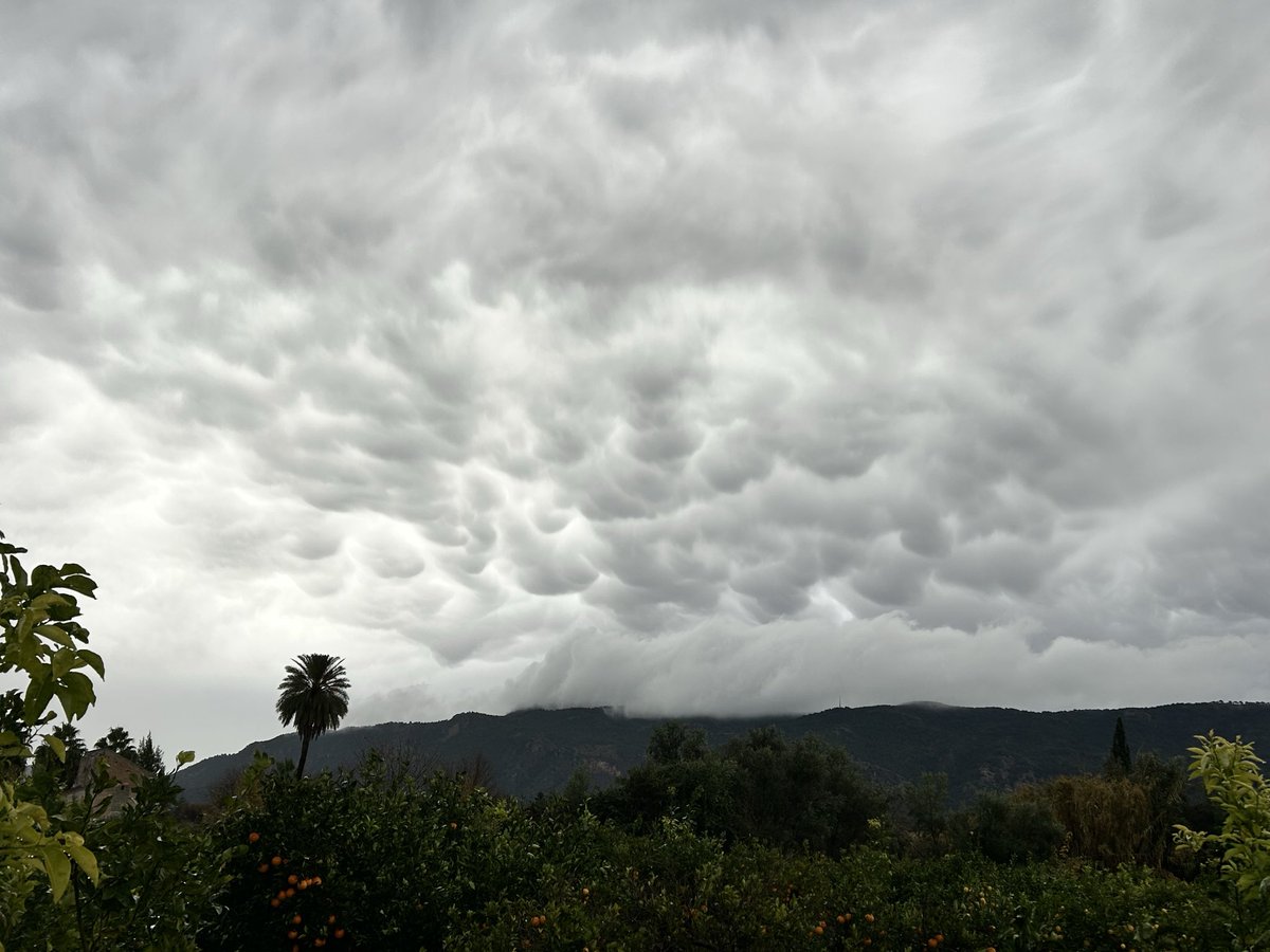 Tras la tormenta, se han dejado ver unas bonitas mammatus (esas protuberancias que cuelgan de la base de un cumulonimbus) en #Murcia
