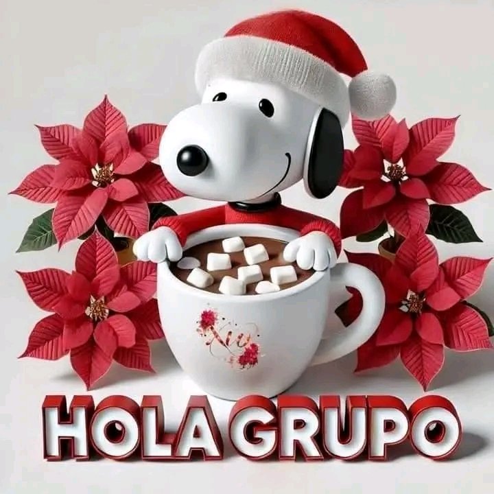 🇦🇷♥ Marcela ⭐⭐⭐ tweet media