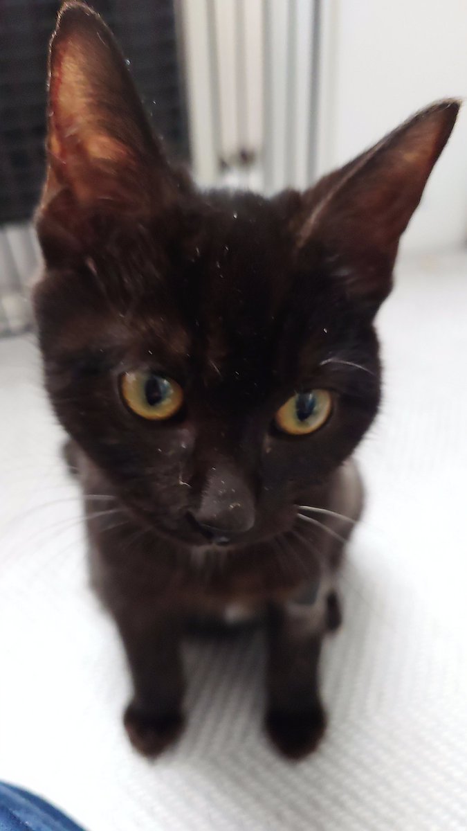 みつよつ 千葉県勝浦の釣具・漁具店 有限会社いわせ