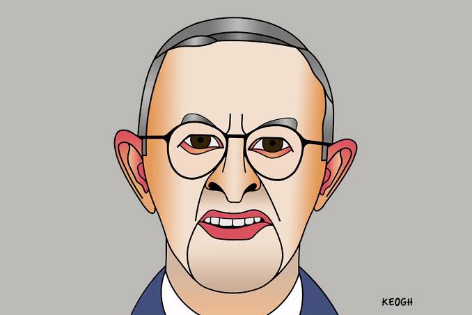 Huntingconnect's tweet image. Let’s bin the trash !  Let’s get @AlboMP out!! 

@ladylibertyaus c.org/4ngBMJGQLG