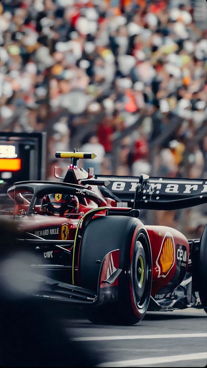 May may reign 🖼️ (@the_zaya_) on Twitter photo 