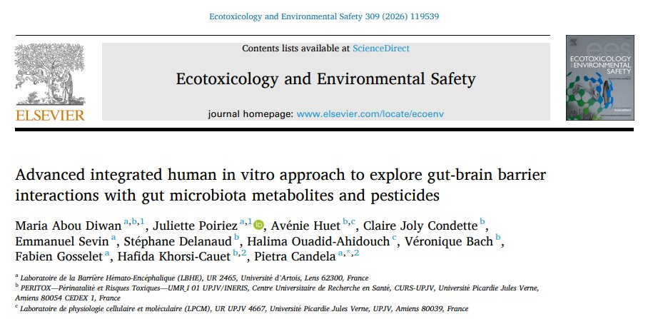 Labo de la Barrière Hématoencéphalique (LBHE) tweet media