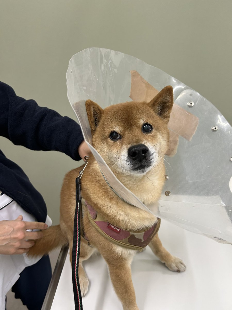 Hiromiページ H I R O M I (@HIROMI66136439) / Posts / X