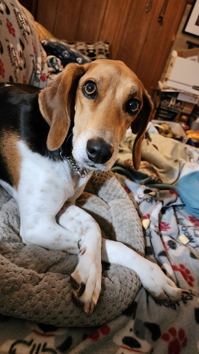 KJ Bailey tweet media