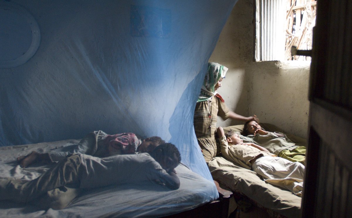 #Malaria is often seen as inevitable, but it doesn’t have to be. Phase 3 results for GanLum, developed by <a href="/Novartis/">Novartis</a> &amp; MMV, could further expand the antimalarial toolbox. But funding &amp; political will remain the biggest barriers to access and #innovation 👉 bit.ly/3MIZabP