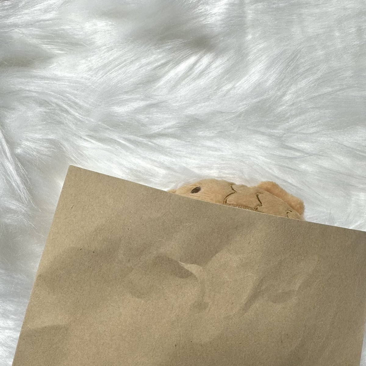 lovelyhyunny's tweet image. 냥어빵 실존.