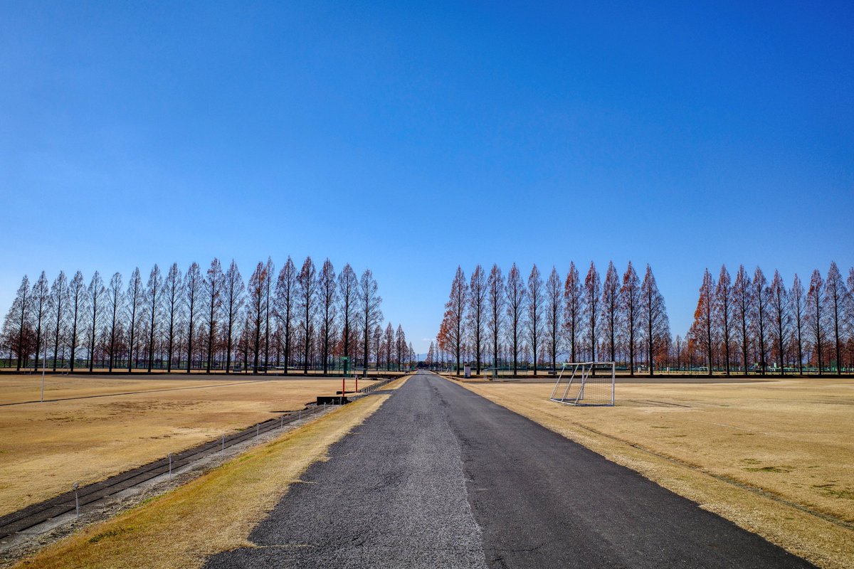 うなくーる tweet media