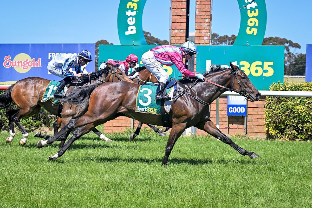 AJ Chambers Racing tweet media