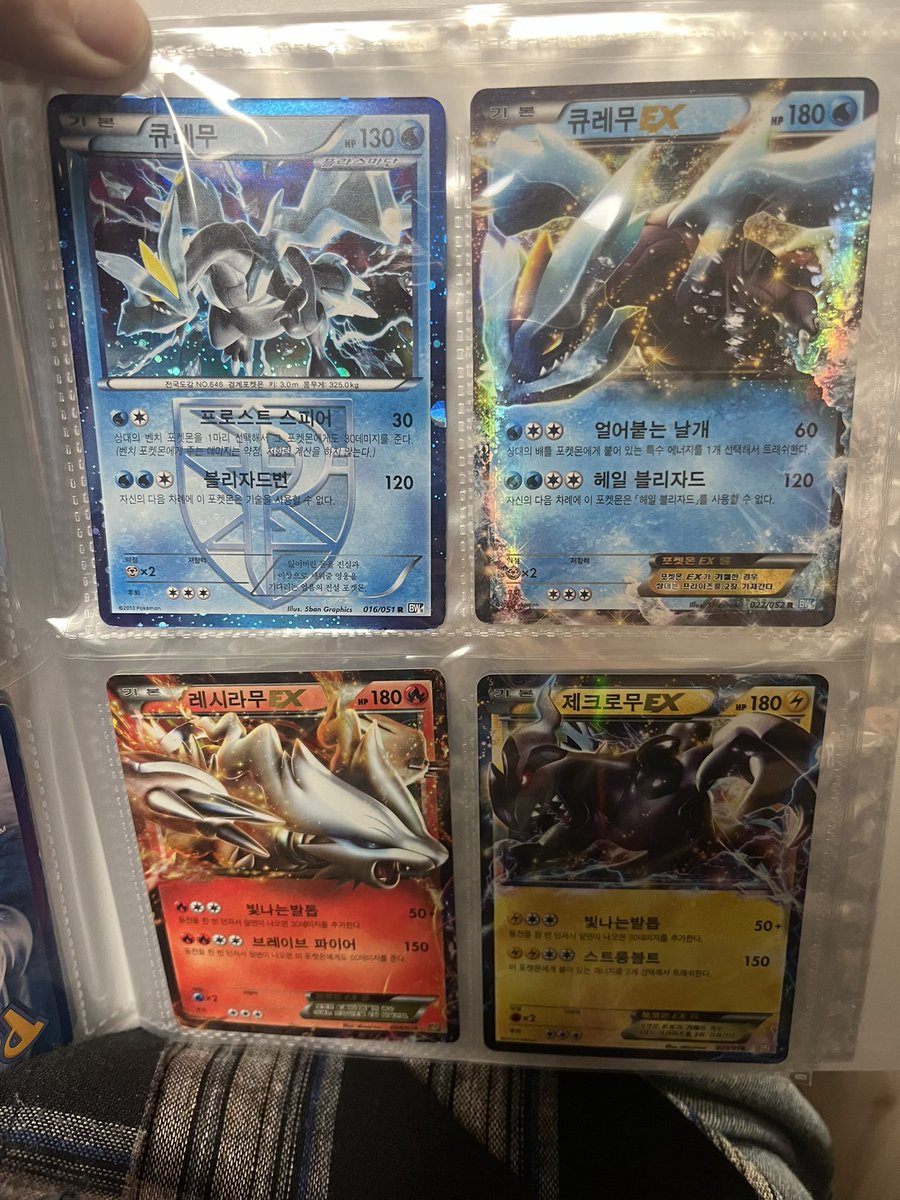 식보열 tweet media