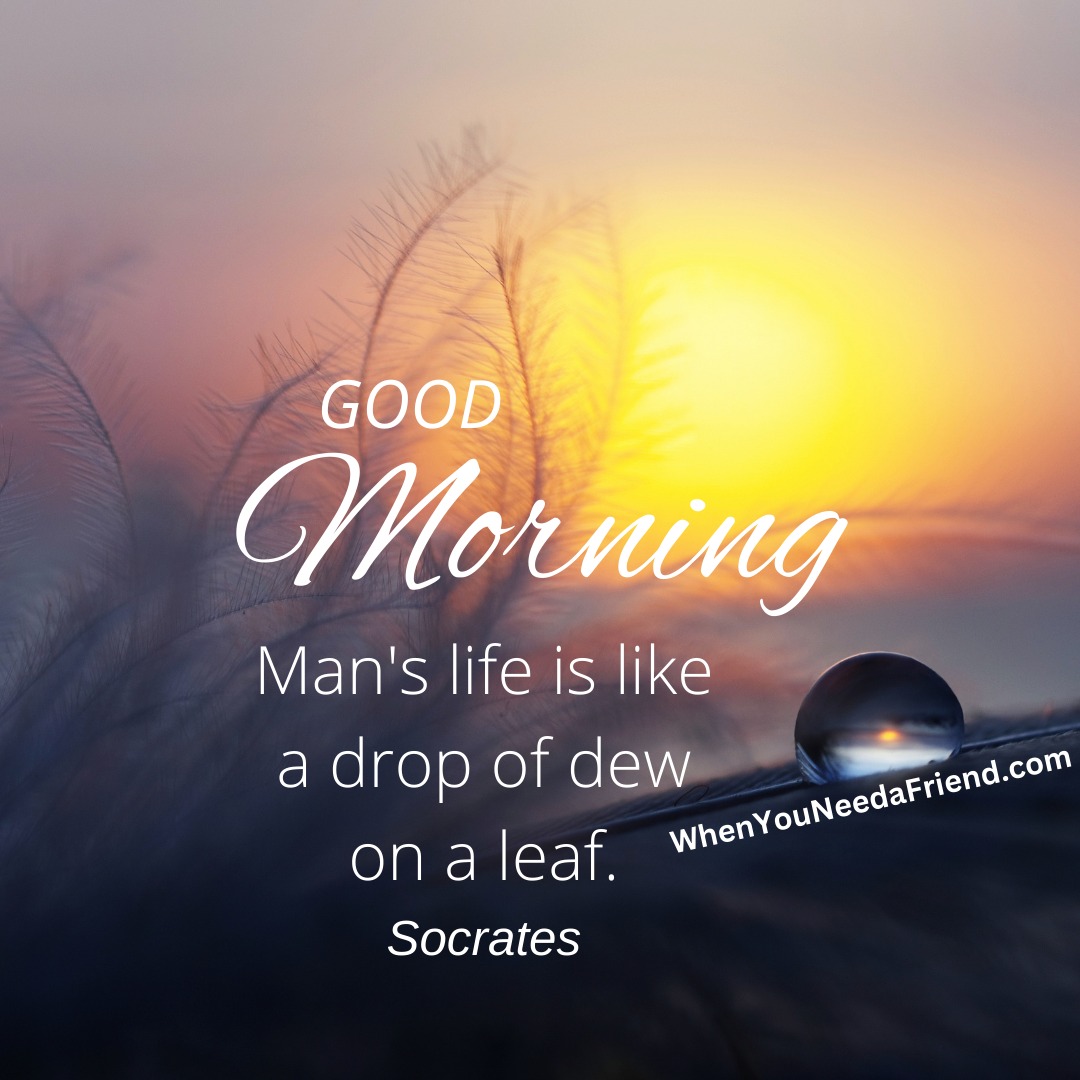155 Good Morning Quotes, Images, Wishes, Messages For 2026, image size:1080x1080