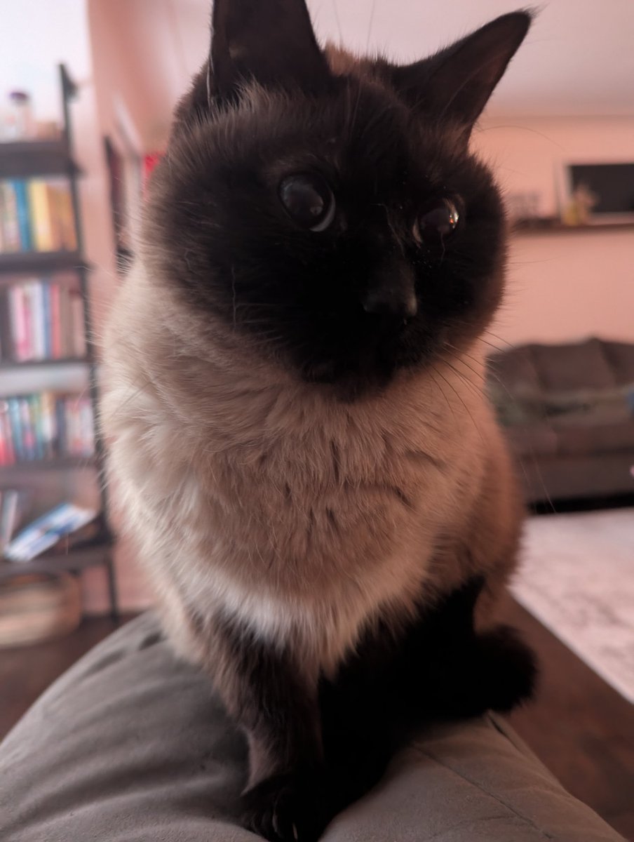 eewwww ick gross eyyuck