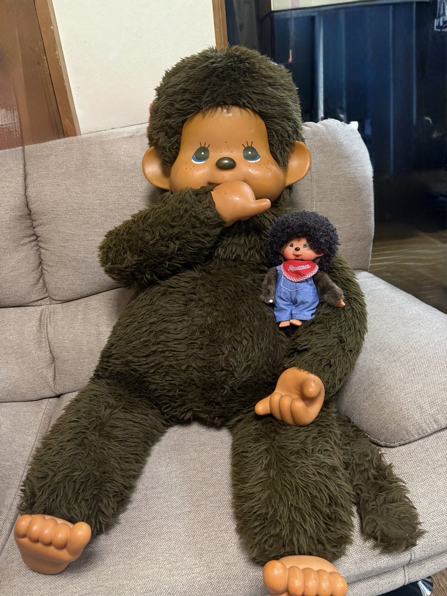 我が家のBOSSブラウニーくん😊 モンブランくんとくつろぎ中