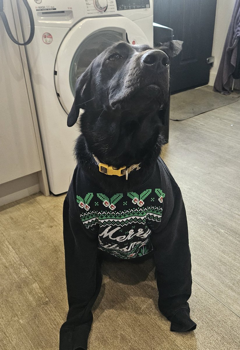 The Cribs Fans tweet media