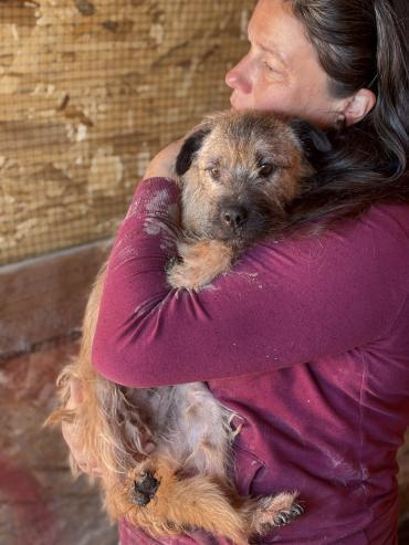 Rosalinde❤️Wuschel-Prinzessin (Hund): [Hund: Mischling, 1 Jahr]
&amp;#10084;&amp;#65039;Rosalinde unsere kleine Wuschel-Prinzessin sucht ihr Glück!* Mit ihrem außergewöhnlichen Look zieht Rosalinde alle Blicke auf sich! Diese charmante junge Hündin ist ca. 1… dlvr.it/TPrgBq