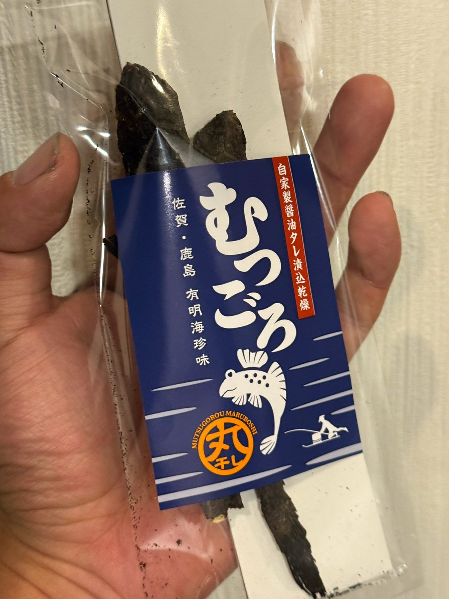 ムツゴロウもらった！さすが佐賀！有明海！