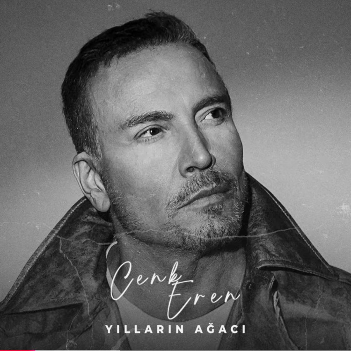 Yapım şirketimden azar işittim:( Onlar benim dediğimi yapıp barınaklara mama gönderdiler,diyorlar ki “tabiki sokak canları için her şeyi yap ama biraz da şarkını paylaş reklamını yap diyorlar😔 Arkadaşlar dinleyip paylaşıp YouTube ve buraya yorum yaparsanız sevinirim ciddi azar