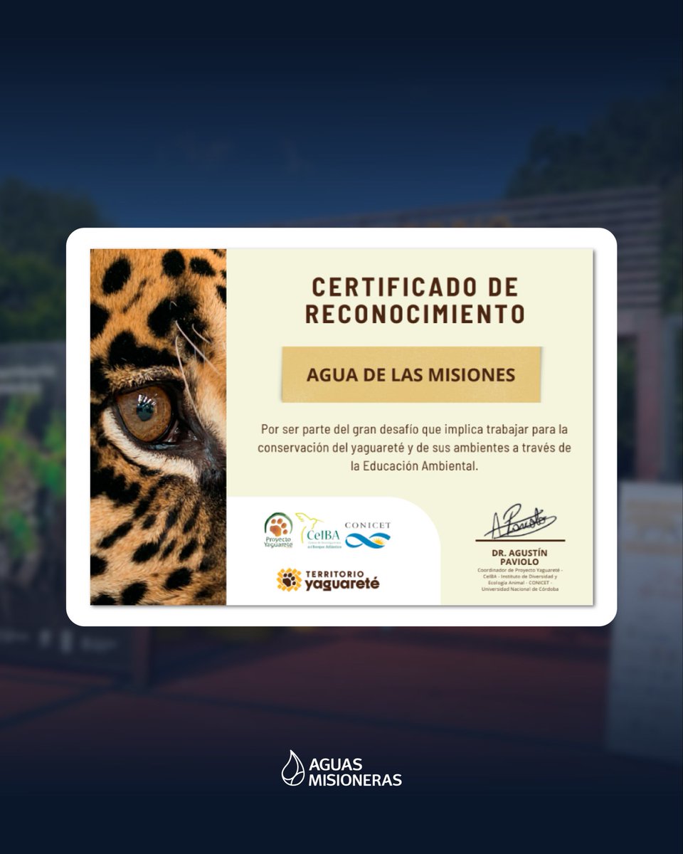 Agua de las misiones recibió un reconocimiento especial por parte de Proyecto Yaguareté gracias al acompañamiento sostenido que brindamos a uno de los proyectos de conservación más emblemáticos de nuestra provincia 🐆

Lee la nota: aguasmisioneras.com/proyecto-yagua…