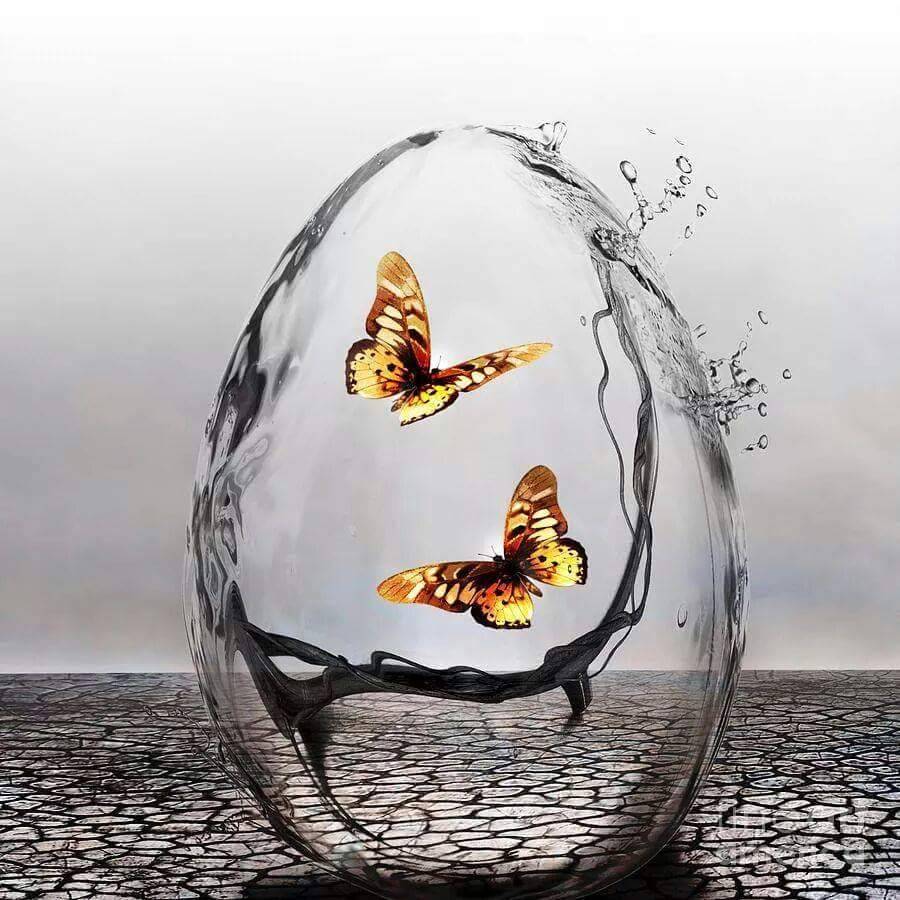 나이를 먹으면서 생기는 단계적인 성장통 대신, 체념 혹은 대충이라는 퇴화된 장기를 차곡차곡 안고서 세상에 내던져진 벽을 닮은 사람들이 있다. 

그런 사람들과 소통하다 보면 낡은 오래된 격언 하나가 떠오른다.

"보지 않으려는 사람만큼 눈 먼 사람도 없다."