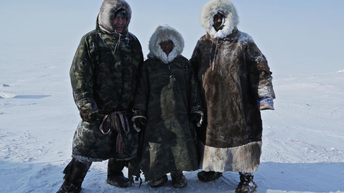 Arman Alizad tweet media